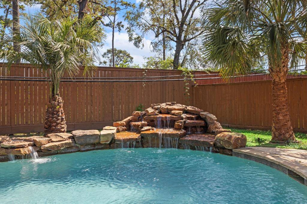 Waterfall, Palms