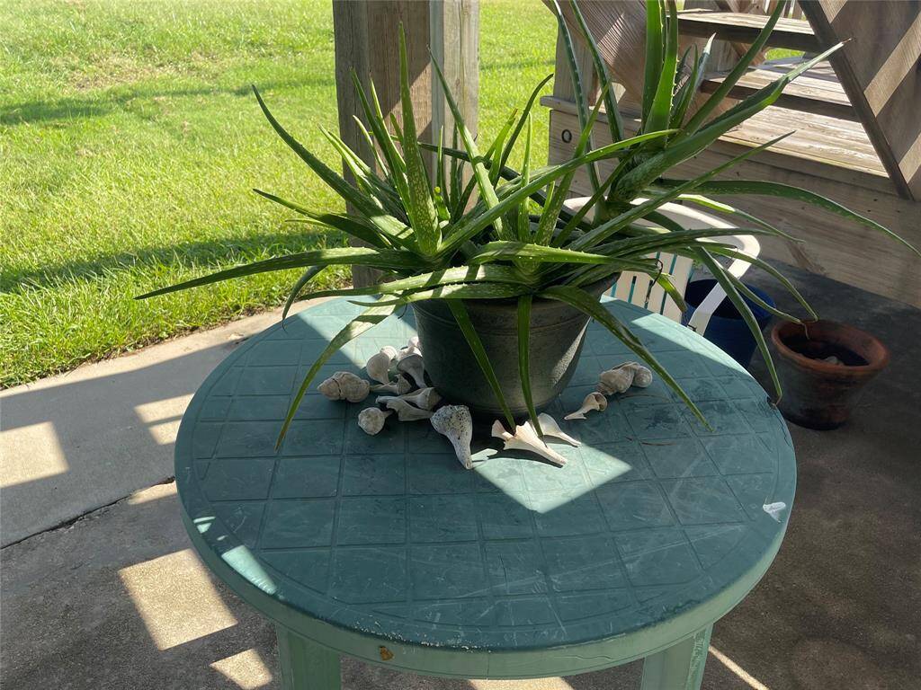 Charming Patio Oasis: Featuring a vibrant potted plant and seaside-inspired accents on a quaint outdoor table, perfect for serene mornings or tranquil evenings in your own backyard retreat.