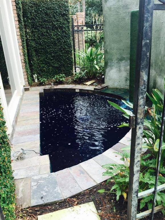 Koi Pond near Dining Room