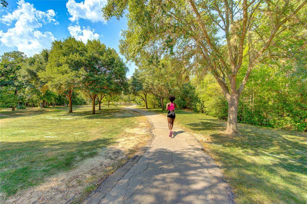 This photo showcases a scenic, tree-lined path in a park, perfect for jogging or leisurely walks, offering a serene and natural environment ideal for outdoor activities.