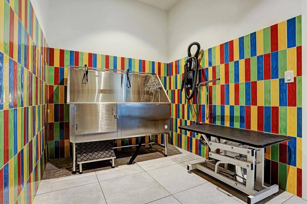 Modern Pet Salon