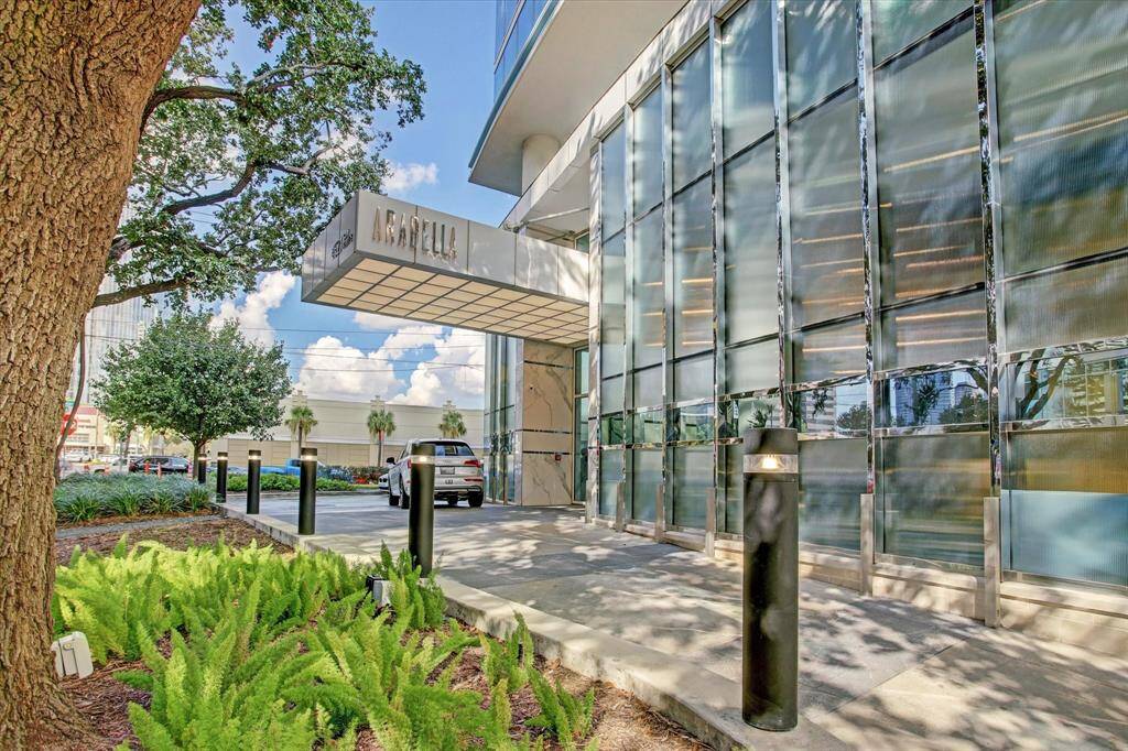 Welcome to Arabella: A Grand Entrance Awaits