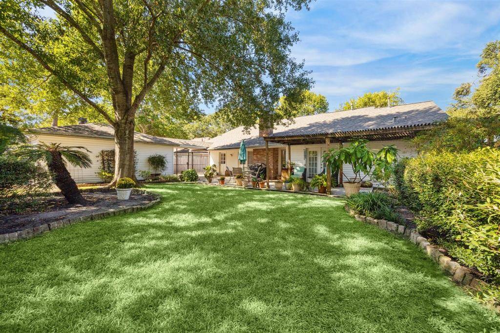 Love this back yard