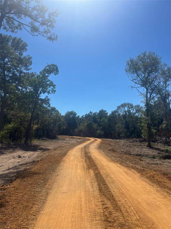 Another view of the access road
