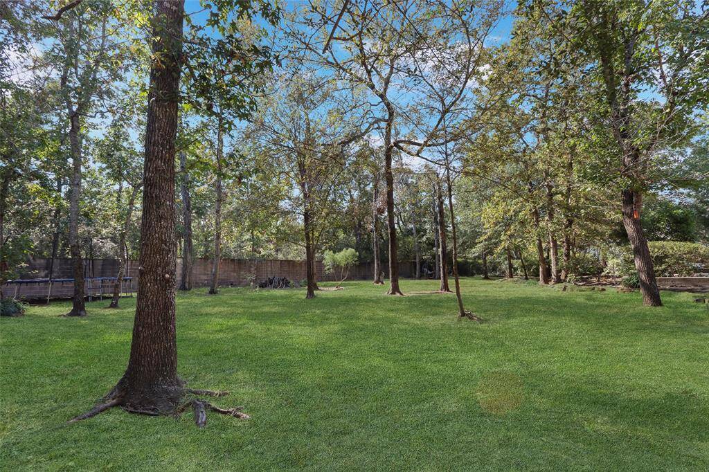 Amazing backyard space available with unlimited potential (grass ins virtual)