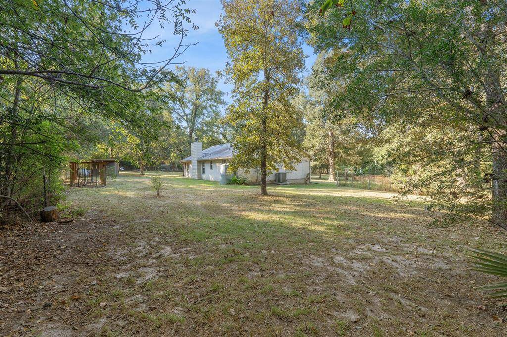 Huge lot with Fruit Trees, grape vine and too much to mention.