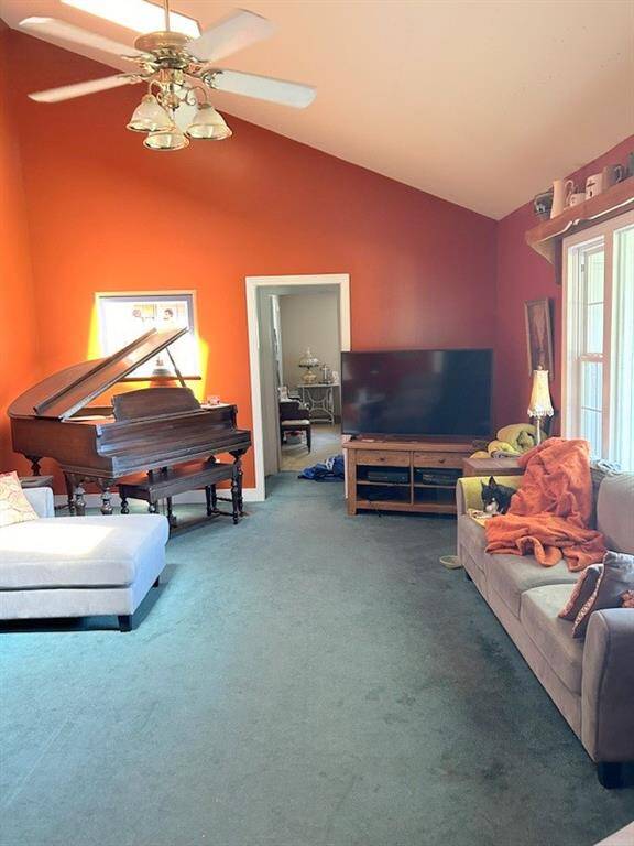 Property Image 42