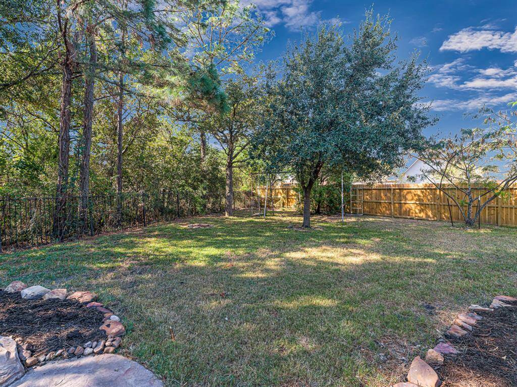 Still plenty of space in this back yard