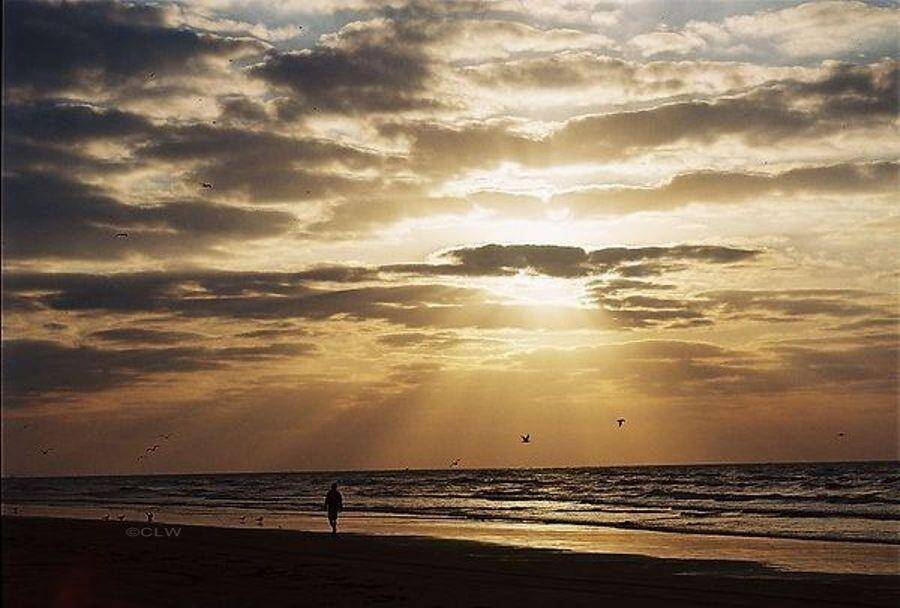 You too can enjoy a sunrise walk on the beach.