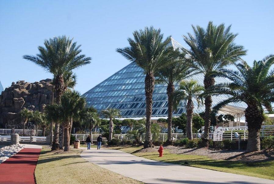 Casa Del Mar is a short drive to west side attractions like Moody Gardens where you can watch penguins play.