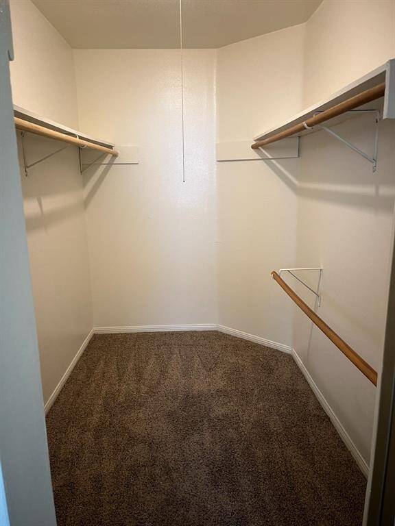 Large walk-in master bedroom closet