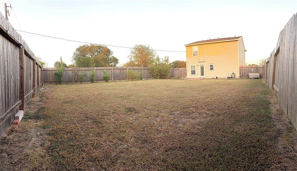 big backyard