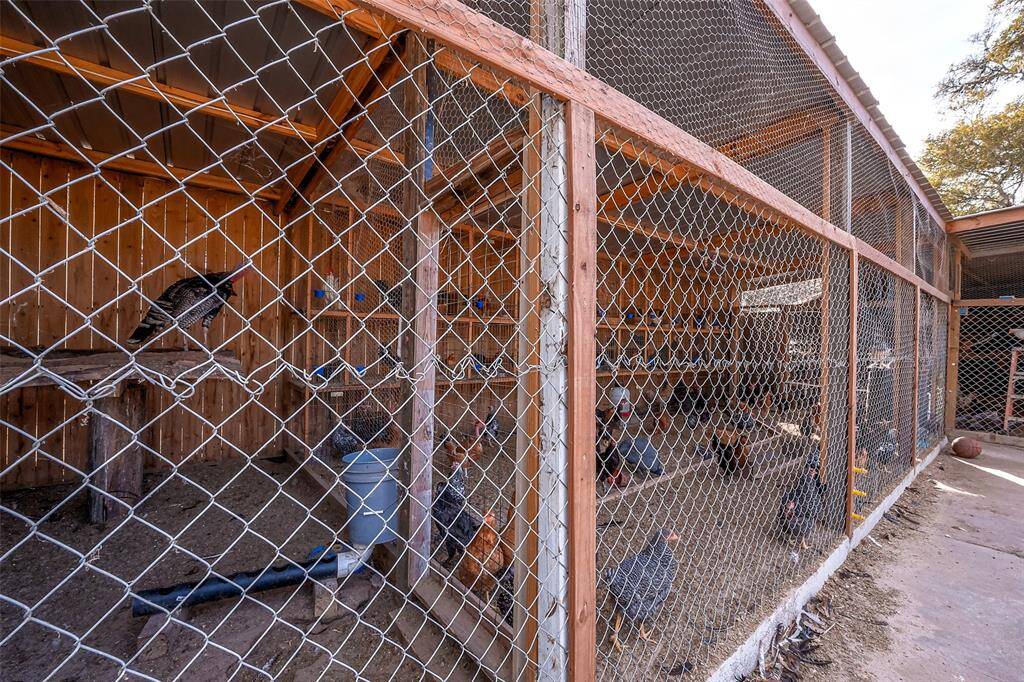 The property includes a large chicken coop, enclosed with a sturdy wire mesh and wooden frame.