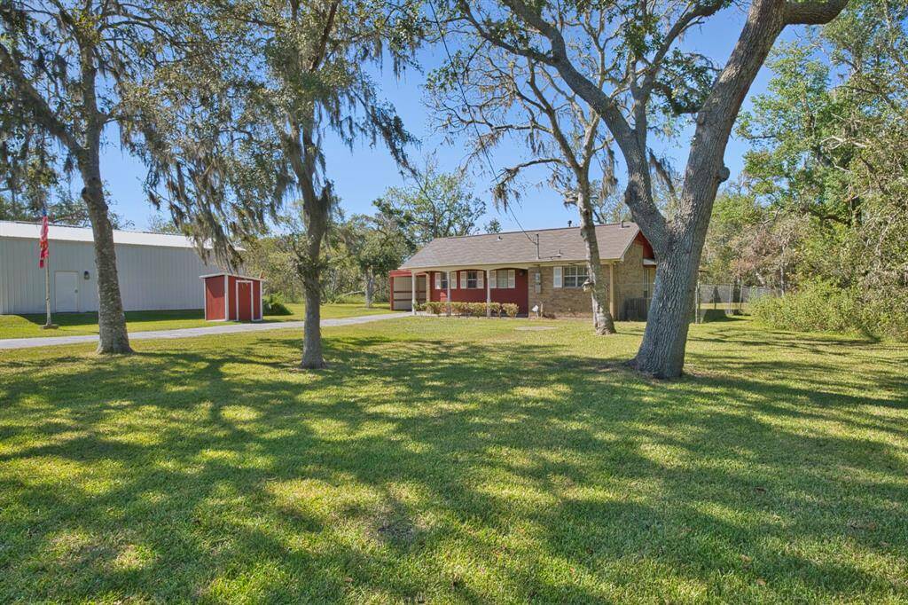 Shaded Front Yard