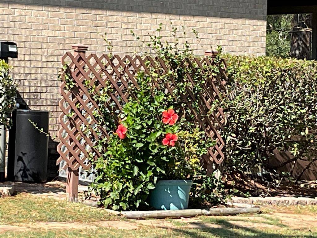 Well established plants and beautiful flowers on this property.