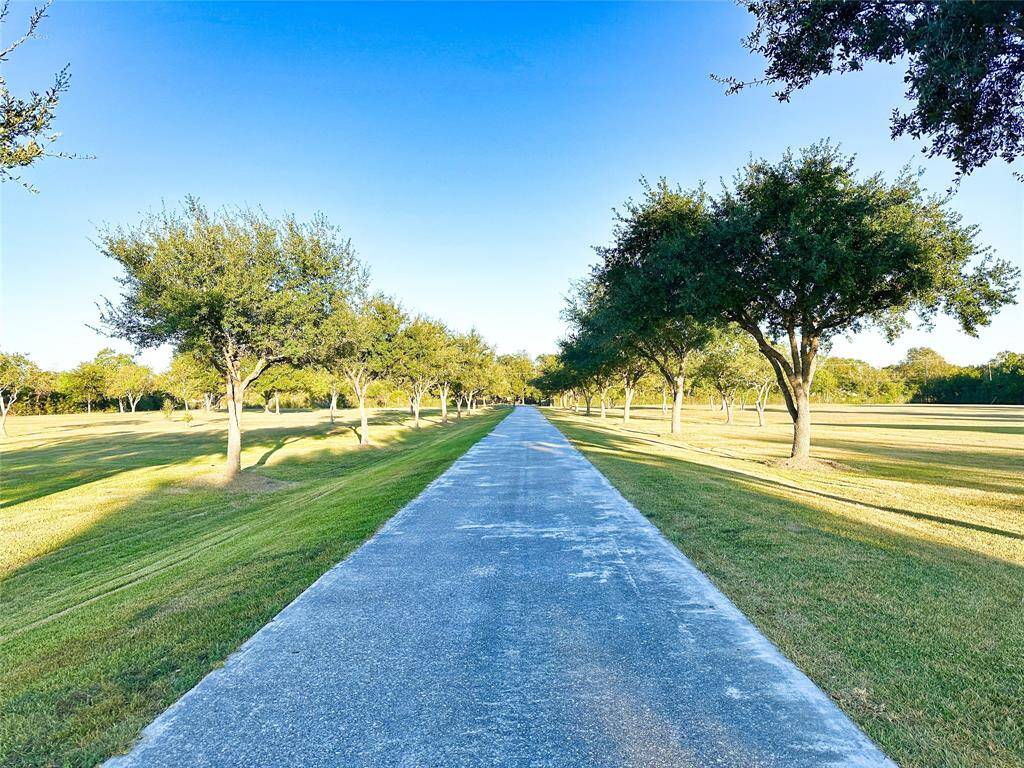 Private tree lined gated driveway