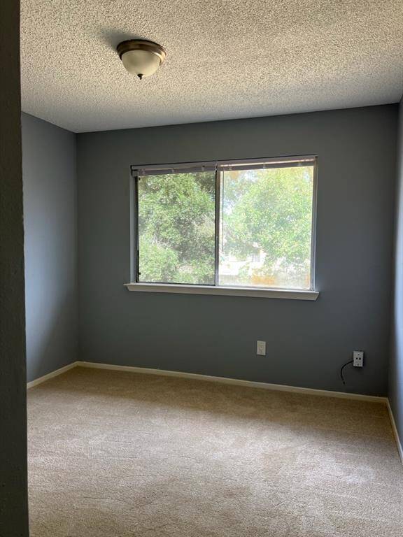 This is a cozy room with light carpeting and blue-gray walls, featuring a large window that allows for ample natural light and a view of greenery outside. The ceiling has a simple light fixture.