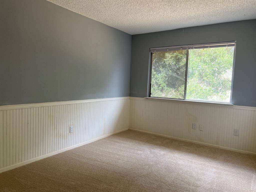 This is a spacious room with neutral carpeting, elegant wainscoting on the lower walls, a large window providing natural light, and a calming gray paint above the wainscoting.