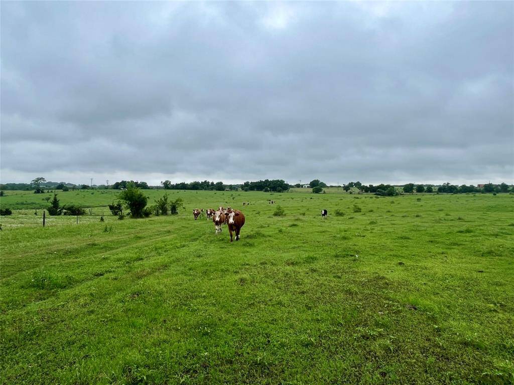 Don’t wait until the cows come home. Call now!