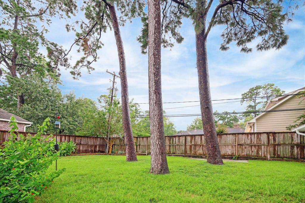 Spacious lush yard with plenty of room for a pool!