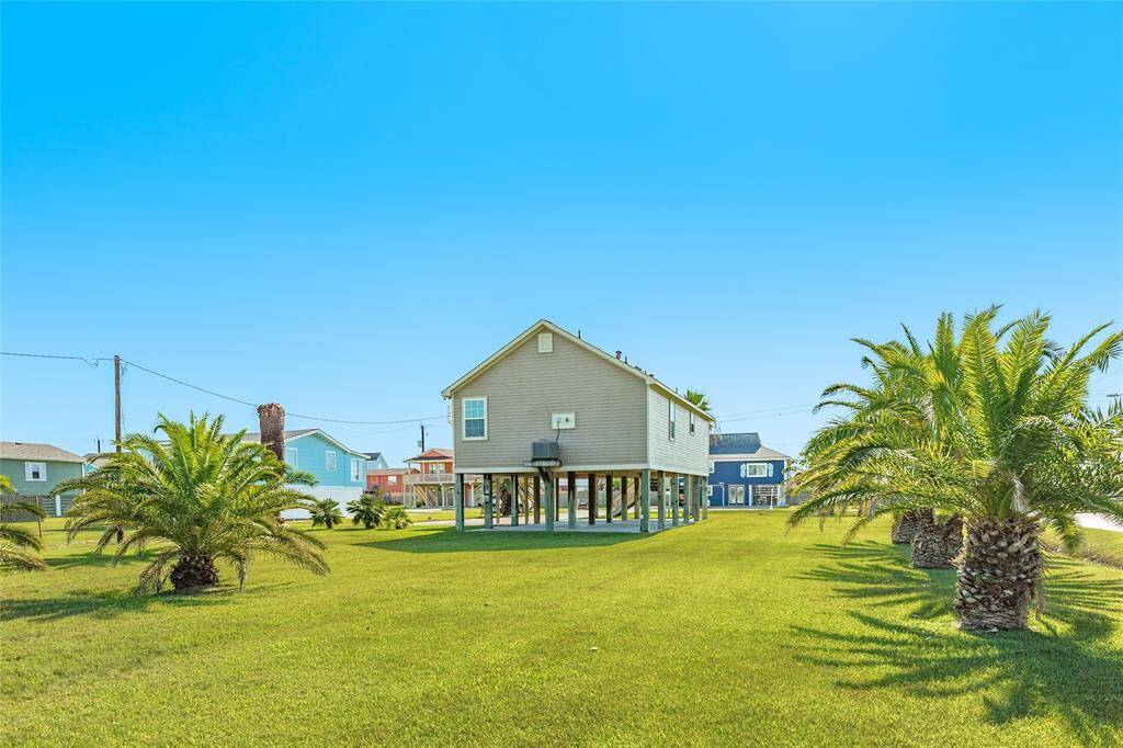 Oversized corner lot with beautiful palms