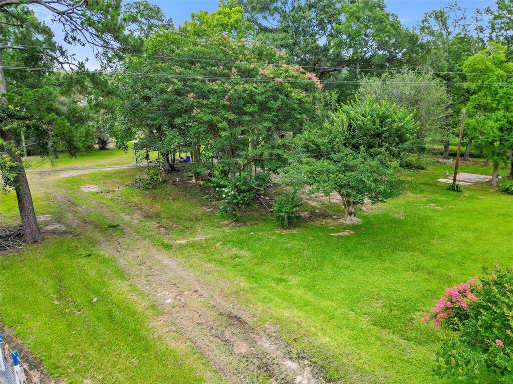 DRIVEWAY/PROPERTY ENTRY, NOTICE THE MATURE TREES ON AND SURROUNDING THE PROPERTY.