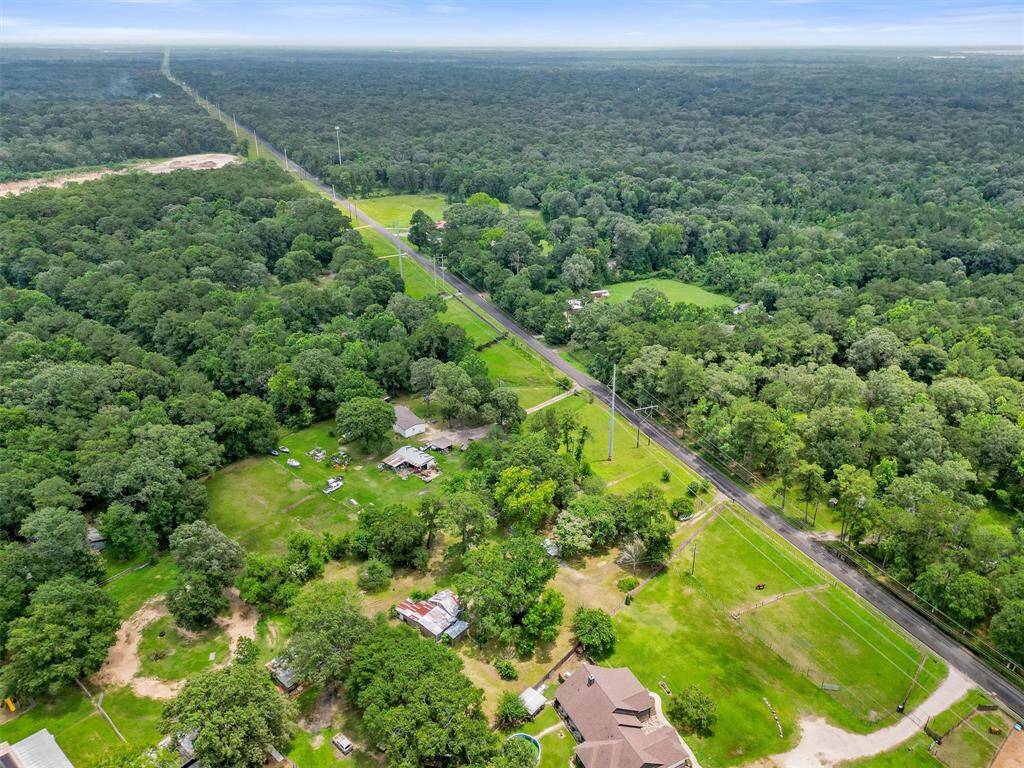 DRIVEWAY/PROPERTY ENTRY WITH ENOUGH TREES FOR PRIVACY.