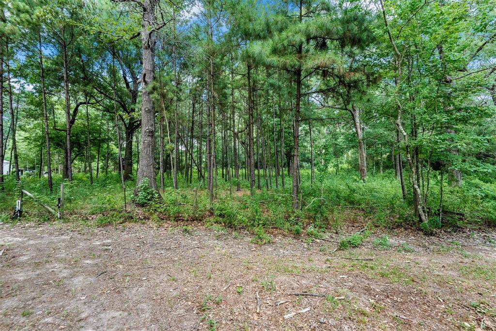 3 acres wooded fenced section in the back