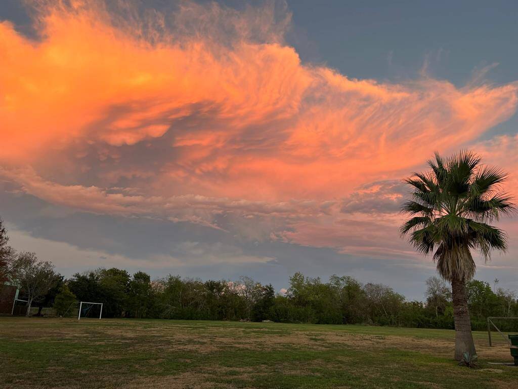 Back yard at Night