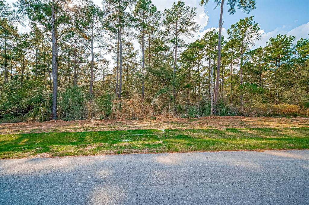 This photo shows a spacious wooded lot with tall trees, providing a natural and serene backdrop. It's bordered by a paved road, offering easy access. Ideal for building a private home surrounded by nature.