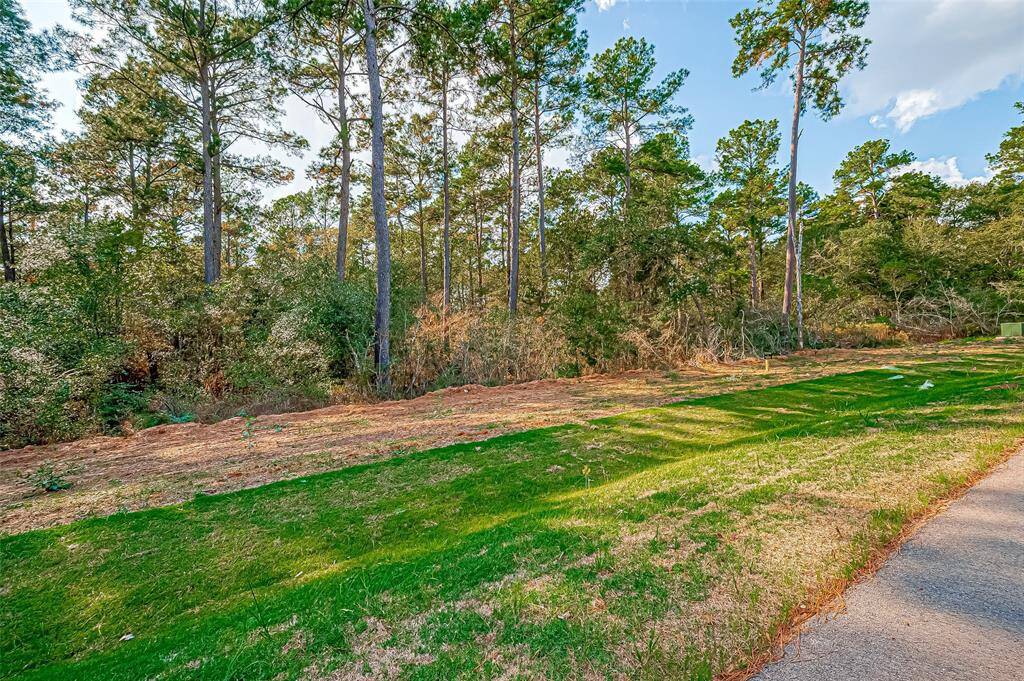This photo showcases a serene, wooded area with tall trees and lush greenery, perfect for nature lovers. The landscape is complemented by a neatly maintained grassy area and a paved road, offering a peaceful and inviting environment.