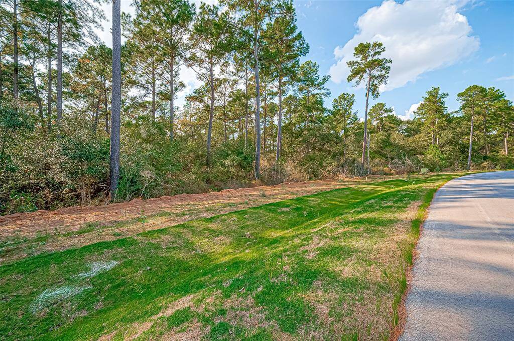 This photo shows a serene, wooded lot with tall trees and lush greenery, bordering a quiet paved road. Ideal for buyers seeking a natural setting for their future home.