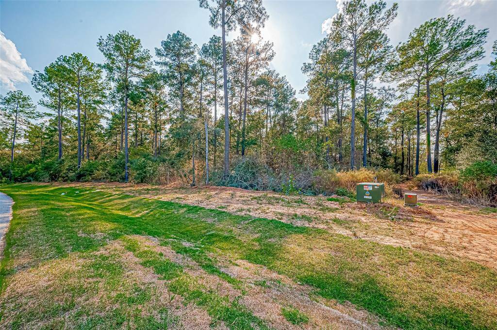 This photo shows a serene, wooded lot with tall pine trees and a mix of grass and dirt areas. It’s a spacious and natural setting, ideal for building a home with a sense of privacy and tranquility.