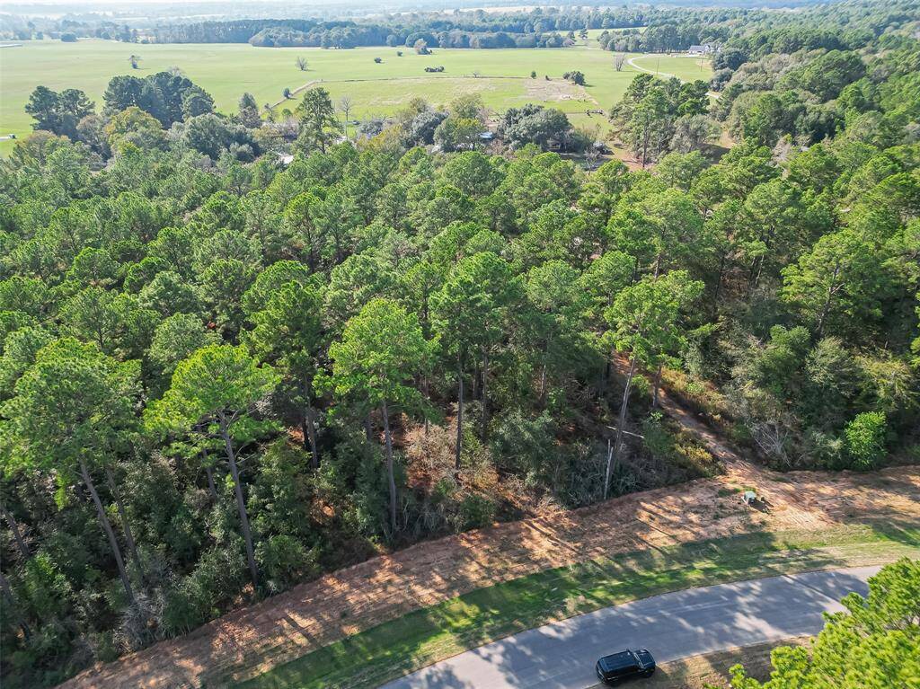 This photo showcases a wooded plot of land alongside a curved road, offering a serene and private setting with lush greenery. Ideal for those seeking a natural environment and privacy.
