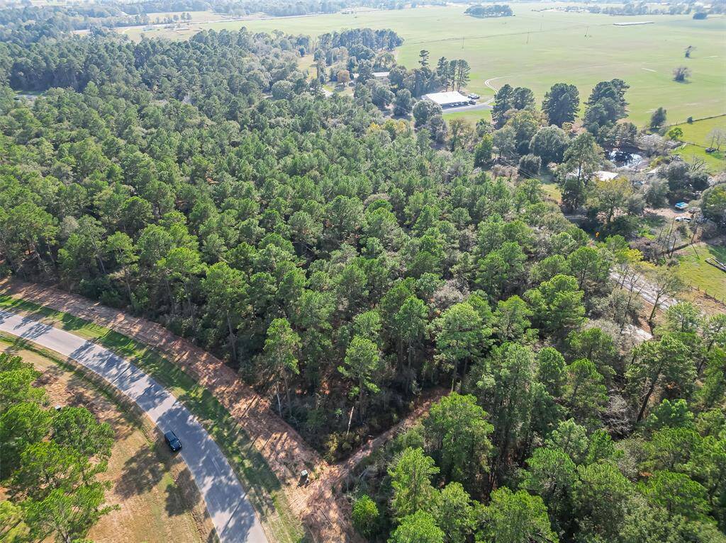 This aerial photo showcases a lush, wooded area with dense green trees, bordered by a winding road. The surrounding landscape is open and spacious, offering a sense of privacy and tranquility, ideal for a nature-loving home buyer.