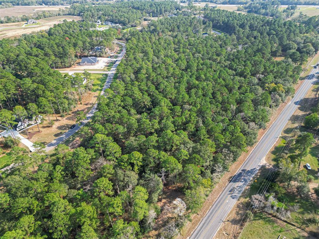 This aerial photo showcases a large wooded area with dense greenery, bordered by a paved road on one side. Nearby, there are a few homes nestled among the trees, suggesting a quiet, forested residential area with ample privacy and natural surroundings.
