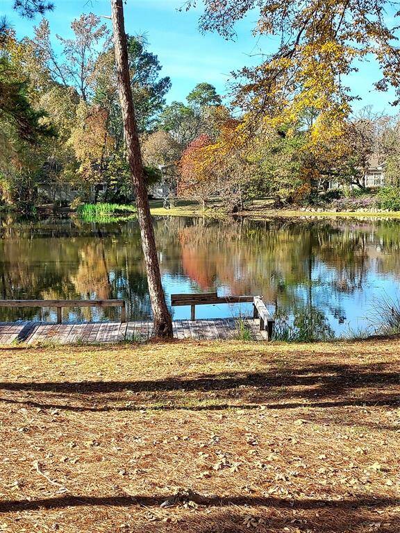 Fall colors from porch