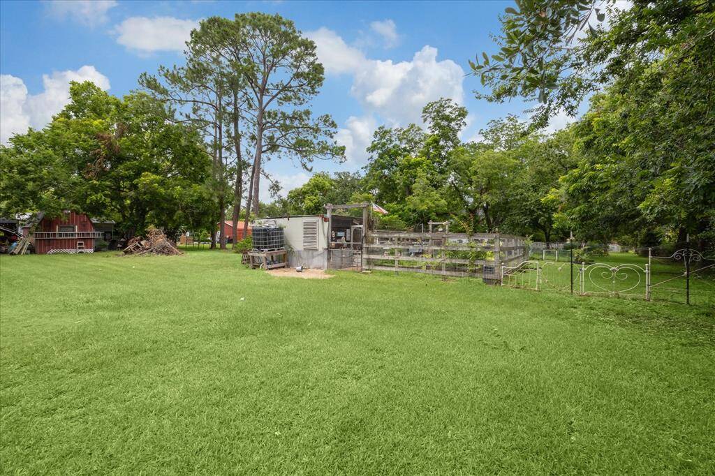 BACK OF CHICKEN COOP/VEGGIE GARDEN