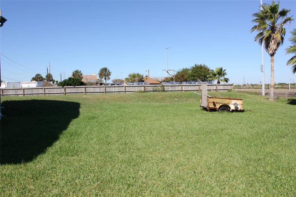 Back yard.