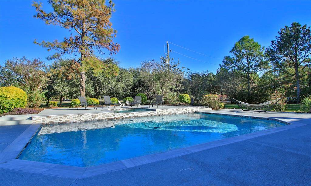 The expansive pool and backyard is immaculate and breathtaking!