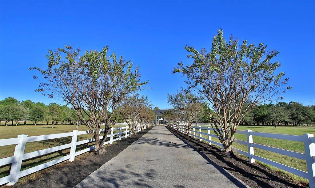 Gorgeous treed driveway to the house.