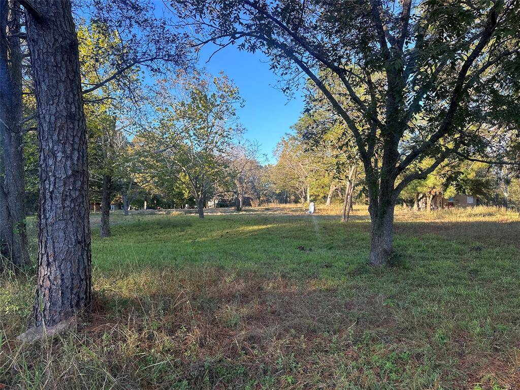 Beautiful Piece Of Land