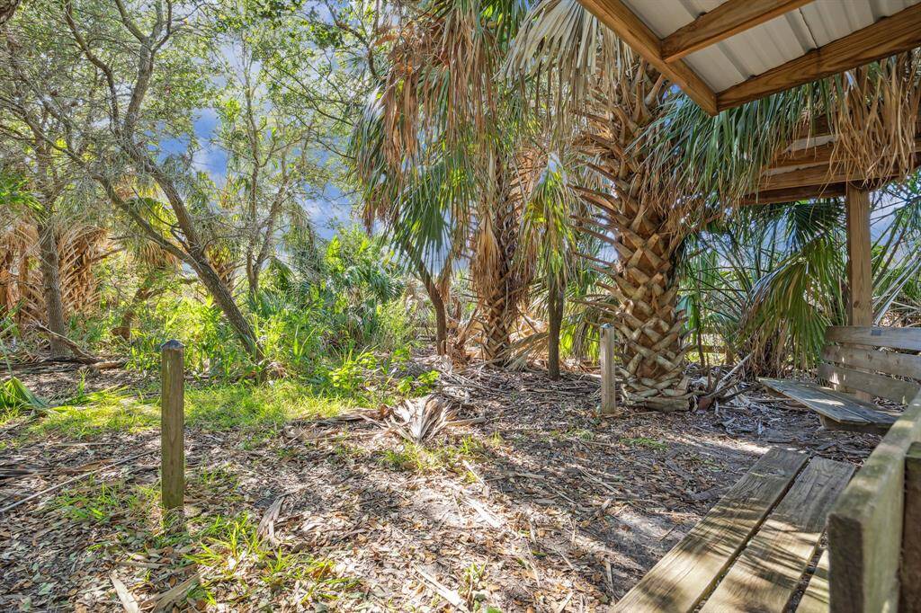 Are you in the jungle or in the Gulf Coast of Texas?