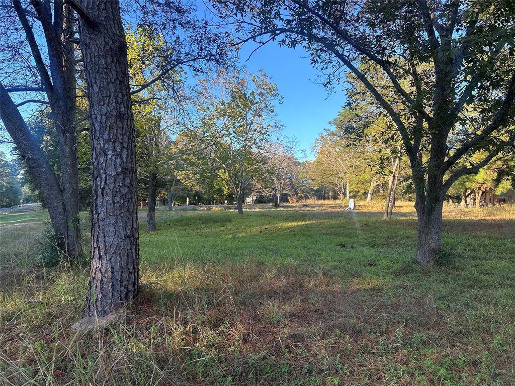 3 Acres Of Land