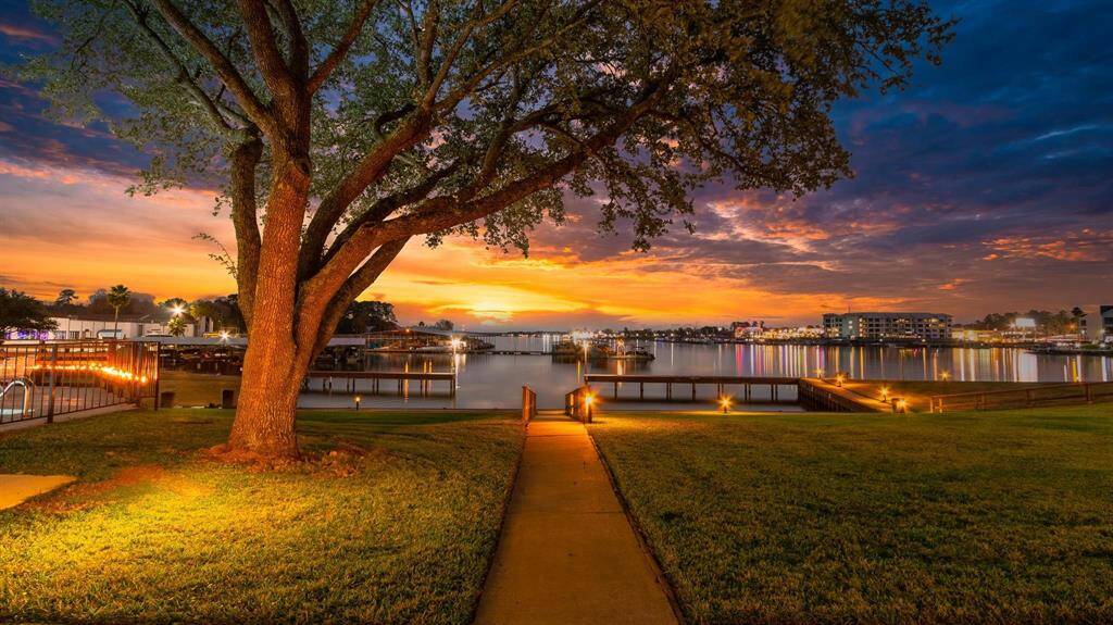 OPEN WATER NIGHT SKY VIEW OF LAKE CONROE! COMMUNITY DOCK AREA! GORGEOUS OLD GROWTH TREES! WATER POINT RETAIL JUST ACROSS THE LAKE!