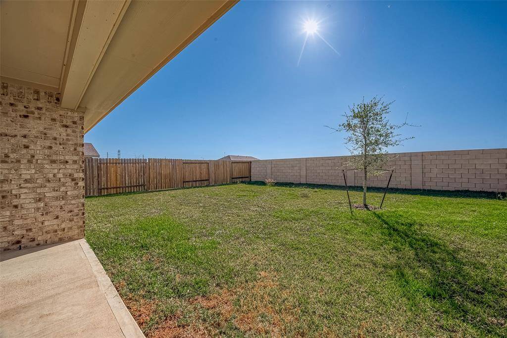 Backyard with room for family fun!