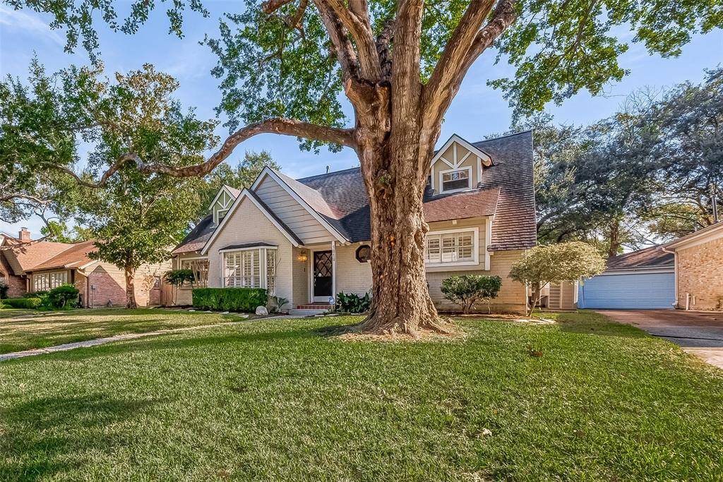 Front Yard