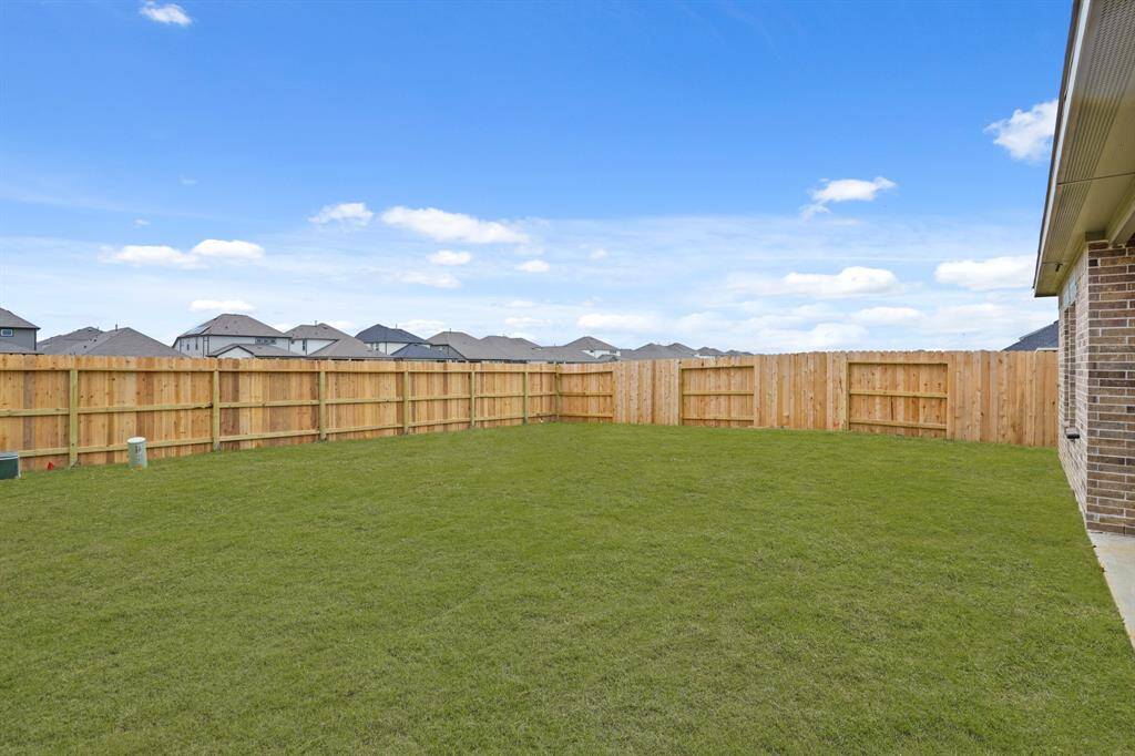 Great Back Yard!