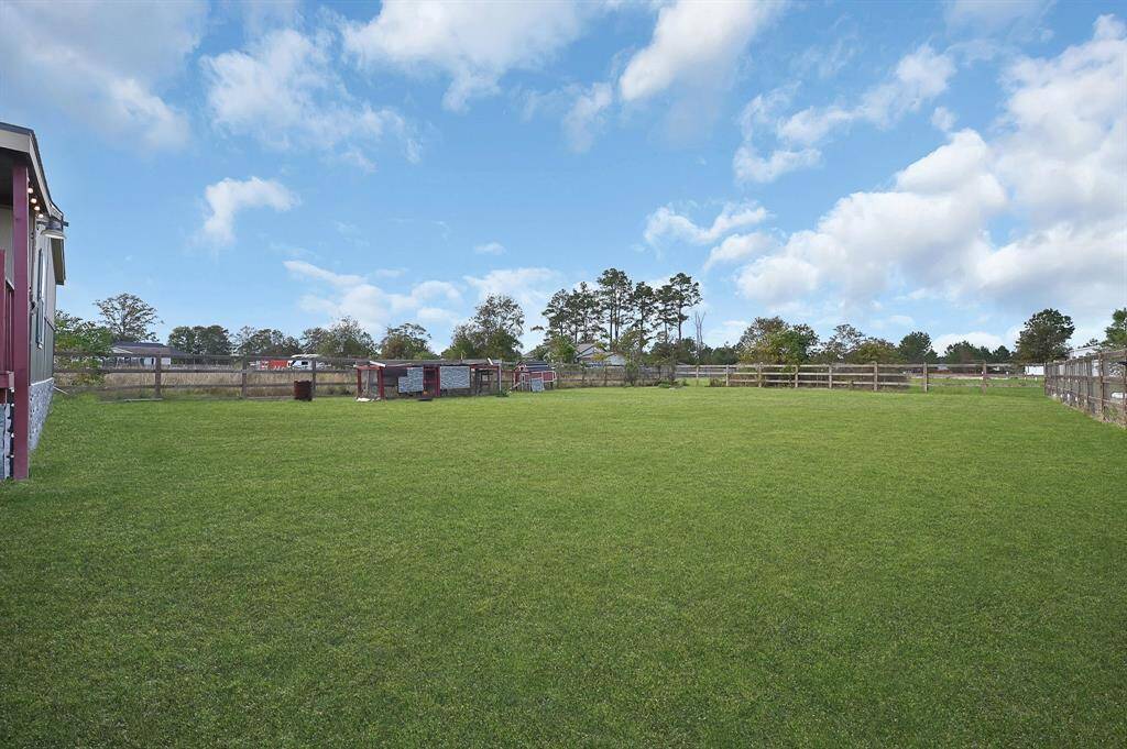 Back yard 1/2 acre in total