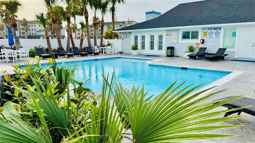 gorgeous pool area